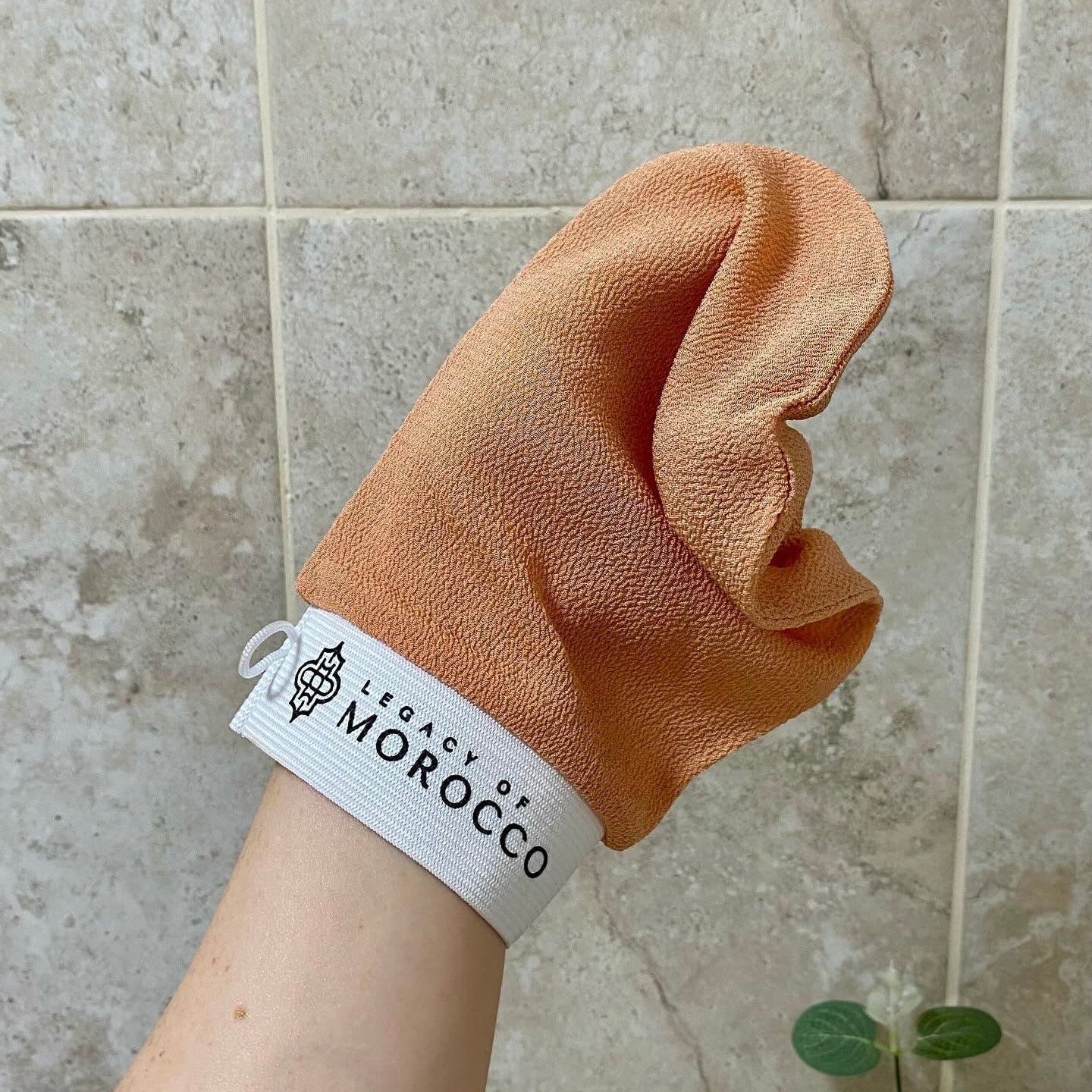 Manusa Exfolianta Marocana